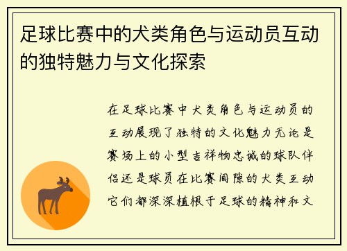 足球比赛中的犬类角色与运动员互动的独特魅力与文化探索